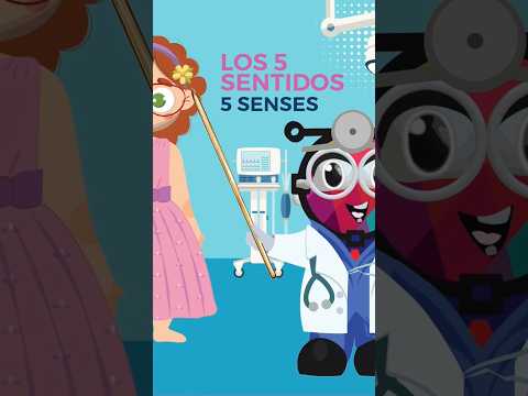 5 Senses - 5 Sentidos Bilingual Learning - literacy academic support #learnenglish #kids