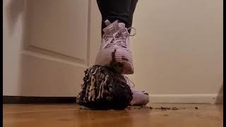 Fila Disruptors Cake Crushing Mood