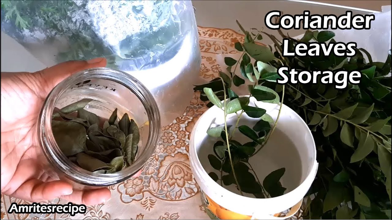 How to keep Coriander Leaves fresh for a long time | Hara Dhania | Healthy Recipes | | Amrit