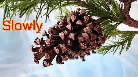 ABC TV | How To Make Pine Cones Paper (Slowly)- Craft Tutorial