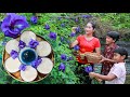 Fresh butterfly pea flower | Collect butterfly pea flower for making tea and jelly | Amazing Video