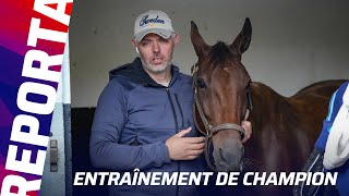 Harmony Du Rabutin, La Belle Histoire De Ce Prix Damérique 2026 I Reportage Prix Damérique