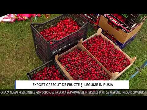 Video: Ce legume cresc în Rusia?