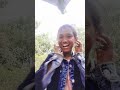 মিম ডিম কাইল্লা🤣🤣🤣😂😂 #lovemusic #nature #song #lifeisbutadream #lovesong #viralshort #viralvideo