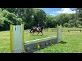Okinawa schooling at home with 11 y/o