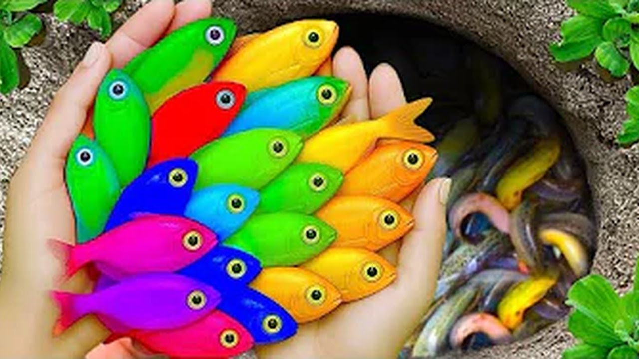 Dragon Guppies & Hidden Turtles: Uncovering a SECRET Underground Ecosystem!