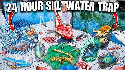 24 HOUR FISH TRAP Catches TONS of FISH & Wild SEA CREATURES! (Using Raw Steak)