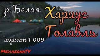 #рр4 р.Белая Хариус Голавль 12.08
