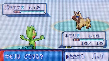2nd Uncatchable Shiny Poochyena While Hunting For Treecko in Pokémon Sapphire