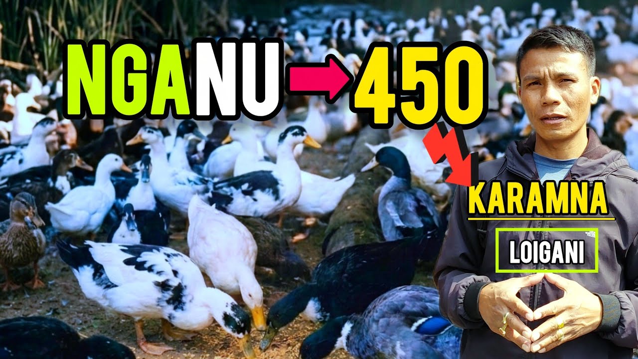 NGANU KARAMNA LOIRAKHIBANO NGANU (450) MATOU KARAMNA YOKANI.
