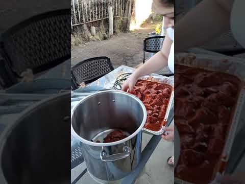 best barbacoa tacos
