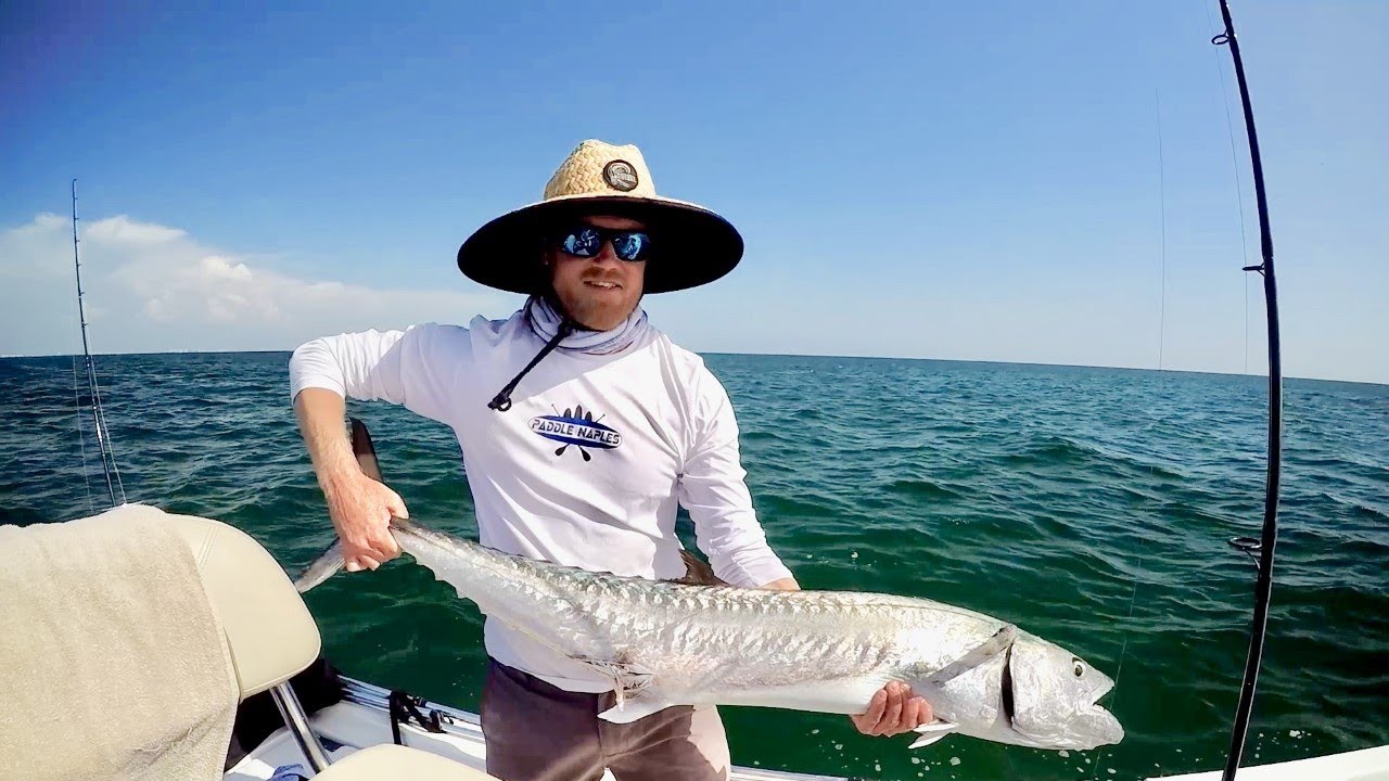 (Offshore Wreck Fishing) Big Kingfish Caught On 30 leader, Cudas, and Black Drum! YouTube