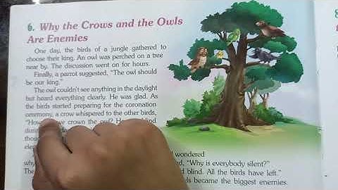 WHY ARE THE CROWS AND OWLS ARE ENEMIES
