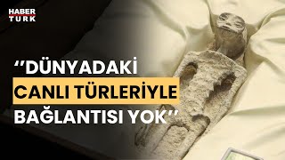 Mekadaki Uzaylı Fosili Iddiası Gündem Oldu