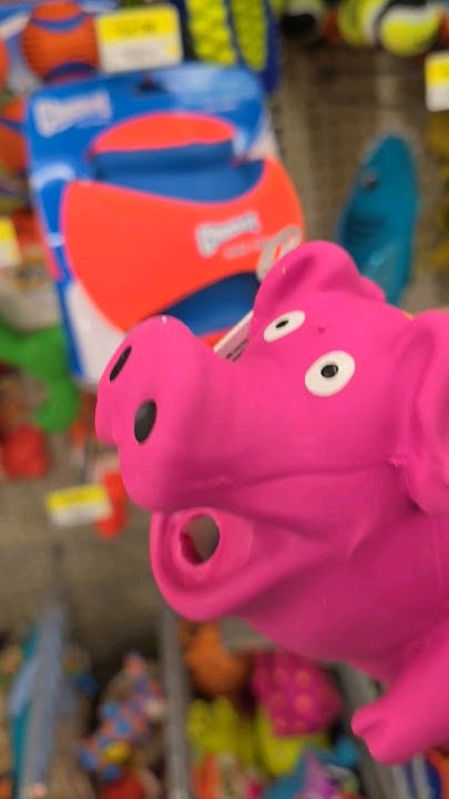 Squeaky Pig #toys #shorts - YouTube