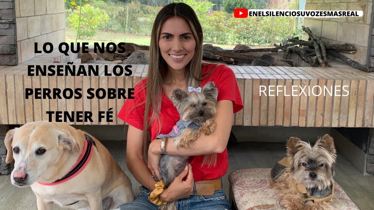 Lo Que Nos Enseñan Los Perros Sobre Tener Fé - Reflexiones: Davalia Ministries