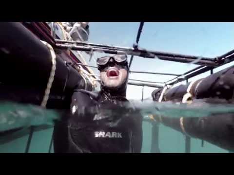Go Shark Cage