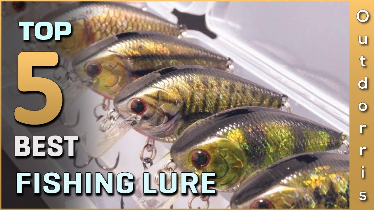 Top 5 Best Fishing Lure Reviews