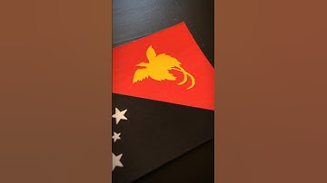 PAPUA NEW GUINEA 🇵🇬 Flag Drawing #flagdrawing #papuanewguinea