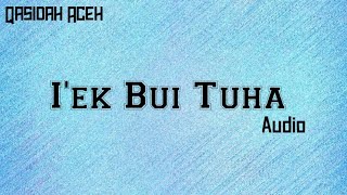 Qasidah Aceh - I'ek Bui Tuha ( Audio Video) | Cover