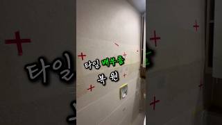 타일 배부름 복원☘️ #타일복원김재승 #타일복원 #타일수리 #타일보수제 #배부른타일 #깨진타일 #들뜬타일 #조각난타일 #tilerestorer #타일리스토러