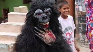 fake tiger and gorilla prank with dog