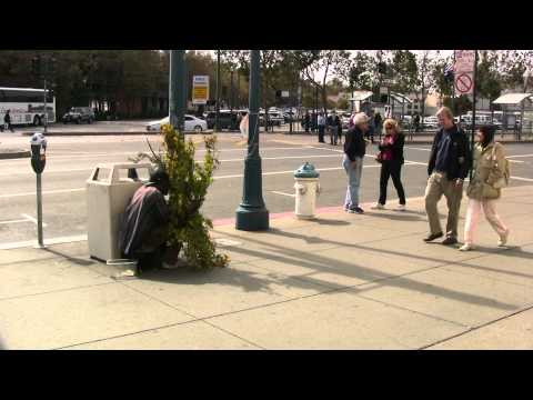 Video: San Francisko Bushmanas