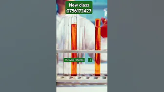 Pharmacy class🐱🐕🏖️️🐕#youtubeshorts #fypシ゚viral #shortvideos thumbnail