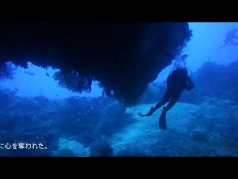 アーバンスポーツツアー　【2010 2011 ＰＡＬＡＵ編】 － UrbanSports　Diving Tour