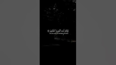 القارئ ياسر الدوسري #اكسبلور #المصحف #لايك #الرحمن #القزابري #العظماء #راحة_نفسية #القرميد