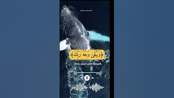 أحمد العجمي/تلاوة خاشعة يخشع له القلب أيات من سورة الرحمن﴿26﴾راحة النفسية ❄️🌺💯✍️💦❄️