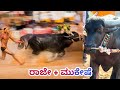 Karkala rajemukeshe best race collection  namma kambala