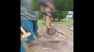 Fallen tree ➡️ usable wood in seconds  🪵🪓 #woodworking #wood #woodturning #chainsawman