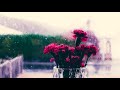 Rain piano music   deep calm relaxing sound stress relief sleep sound