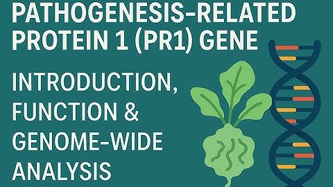 Pathogenesis-Related Protein 1 (PR1) Gene | Introduction, Function & Genome-Wide Analysis