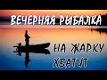 Рыбалка на поплавок. Вечерком у дома.