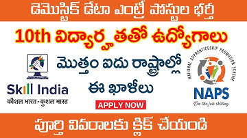 10th విద్యార్హతతో డేటా ఎంట్రీ ఆపరేటర్ పోస్టులు, Domestic Data Entry Operator Job, Data Entry Job2021