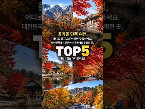 올가을 꼭 가봐야 할 대한민국 단풍 명소 TOP5