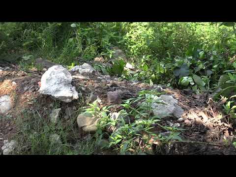 ანტი სანიტარია ყვირილას ფერდობზე როგორ მოვაგავროთ პრობლემა