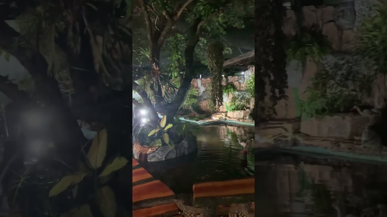 Tempat ngopi cantik taman minimalis depan rumah