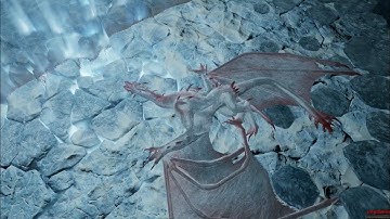 Panther Solo Hr Wyvern (Squire Kit, Druid, no Damage)