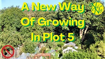 No Dig Polytunnel Revealed