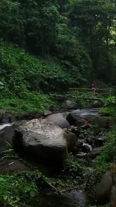 PEMANDANGAN HIJAU NYA INDONESIA KU #Shorts#fyp#Youtube#Konten#video
