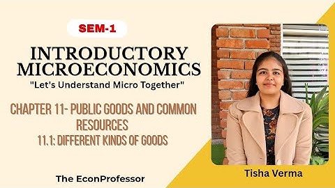 Chapter 11 (Different kinds of goods) | Introductory Microeconomics | B.A.(hons) Economics | Sem 1