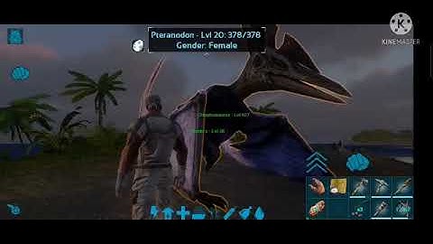 Fresh Start || Ark Mobile Survival || D