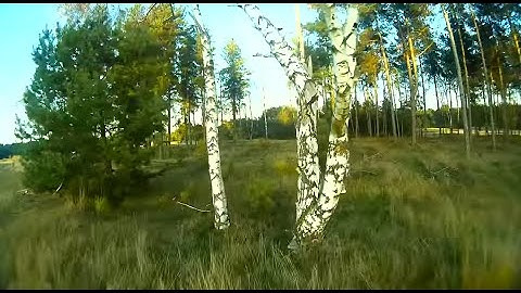 Hoverthings Flip 260 - Quadcopter FPV at new spot in the woods near Weert