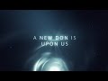 A New Don Is Upon Us! Ansell's Innovative Garment Fold