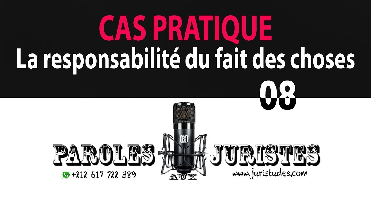 Cas pratique: La responsabilité (ou non) du fait des choses (Paroles aux juristes #08)