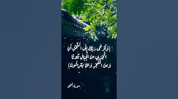 مقطع قرآن /سورة النحل /خالد الجليل