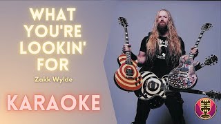 Watch Zakk Wylde What Youre Lookin For video